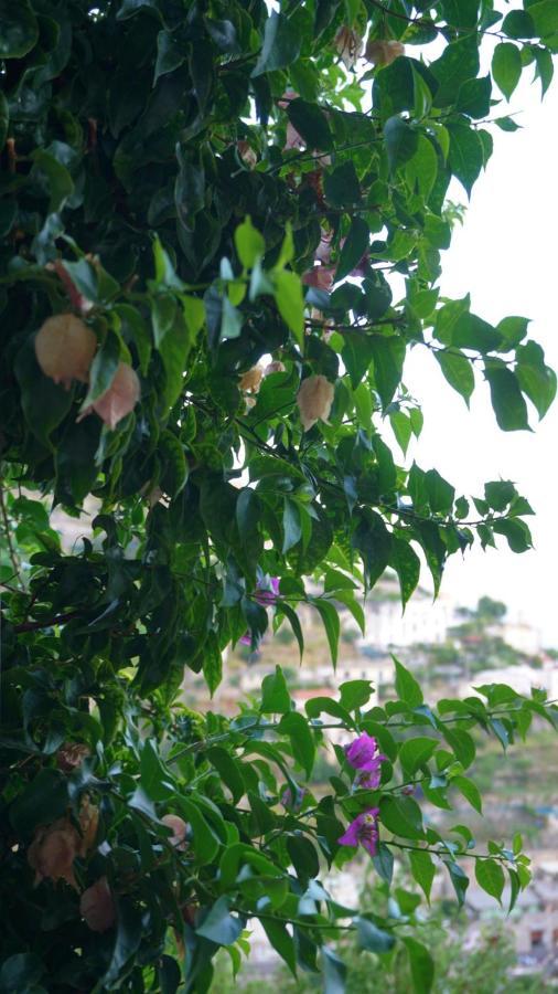 Villa Mariuccia House Amalfi Exterior foto